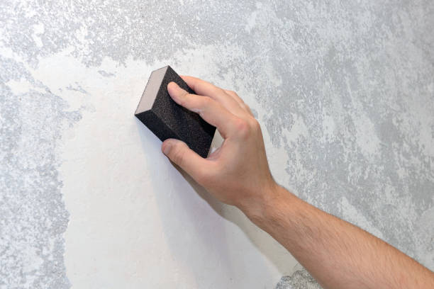 Best HVAC Mold Inspection and Cleaning  in Madison, NC