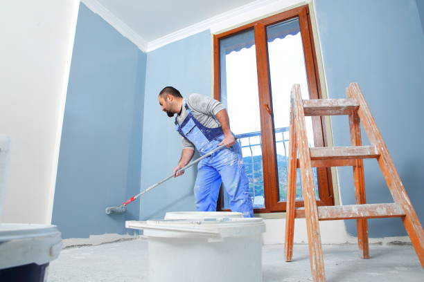 Trusted Madison, NC Mold Removal Experts