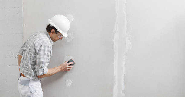 Best Comprehensive Air Testing for Mold Contaminants  in Madison, NC