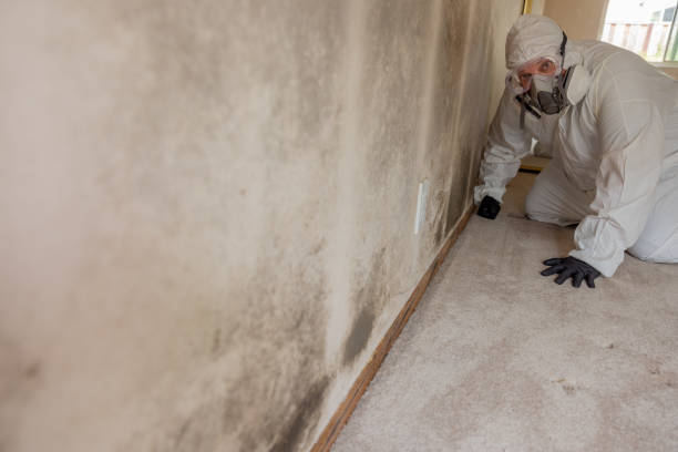 Best Mold Documentation for Insurance Claims  in Madison, NC