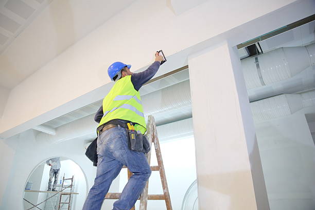 Best Commercial Mold Inspection  in Madison, NC